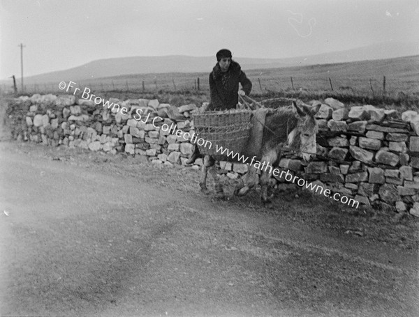 LADY WITH CREELED DONKEY